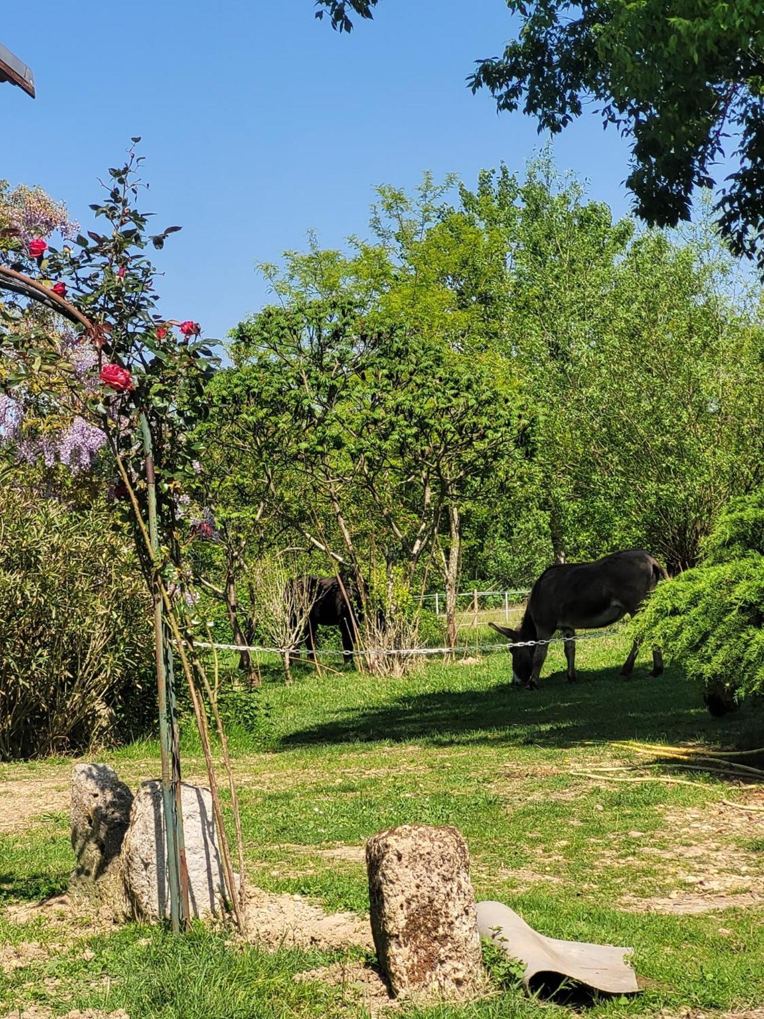 Bed and Breakfast Pey Sud Gaua Sistels Экстерьер фото